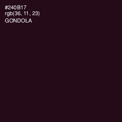 #240B17 - Gondola Color Image