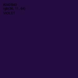 #240B40 - Violet Color Image