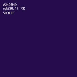 #240B49 - Violet Color Image