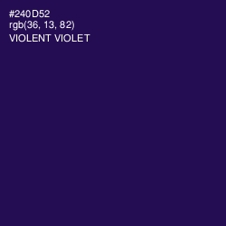 #240D52 - Violent Violet Color Image
