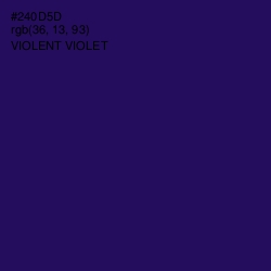 #240D5D - Violent Violet Color Image