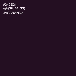 #240E21 - Jacaranda Color Image