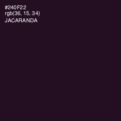 #240F22 - Jacaranda Color Image