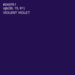 #240F51 - Violent Violet Color Image