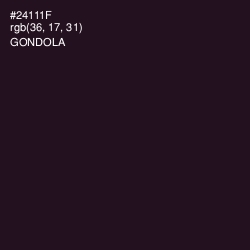 #24111F - Gondola Color Image