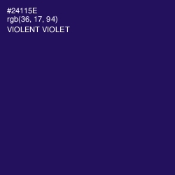#24115E - Violent Violet Color Image