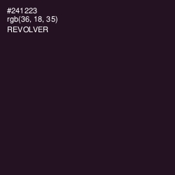 #241223 - Revolver Color Image
