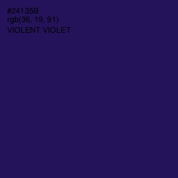 #24135B - Violent Violet Color Image