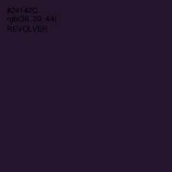 #24142C - Revolver Color Image