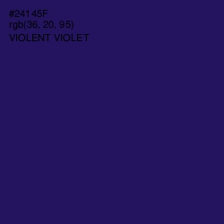 #24145F - Violent Violet Color Image