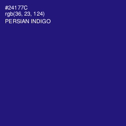 #24177C - Persian Indigo Color Image