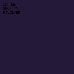 #241938 - Revolver Color Image