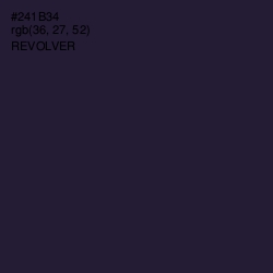 #241B34 - Revolver Color Image