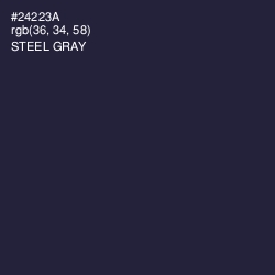 #24223A - Steel Gray Color Image