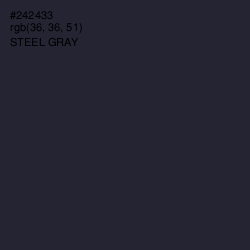 #242433 - Steel Gray Color Image