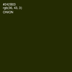 #242B03 - Onion Color Image