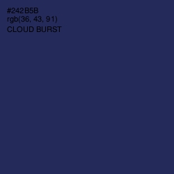 #242B5B - Cloud Burst Color Image