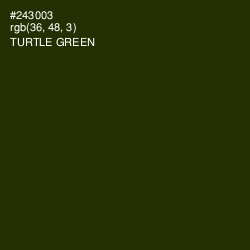 #243003 - Turtle Green Color Image