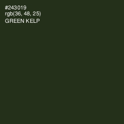 #243019 - Green Kelp Color Image