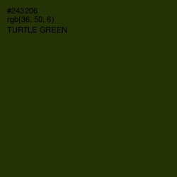 #243206 - Turtle Green Color Image