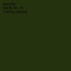 #24320E - Turtle Green Color Image