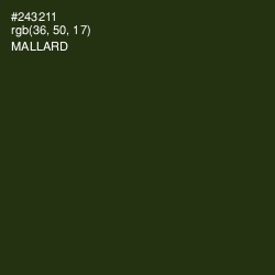 #243211 - Mallard Color Image