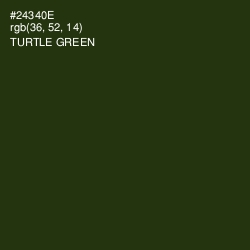 #24340E - Turtle Green Color Image