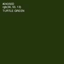 #24350D - Turtle Green Color Image