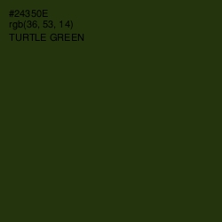 #24350E - Turtle Green Color Image