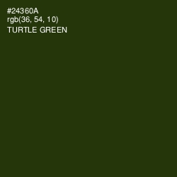 #24360A - Turtle Green Color Image