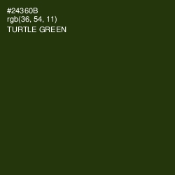 #24360B - Turtle Green Color Image