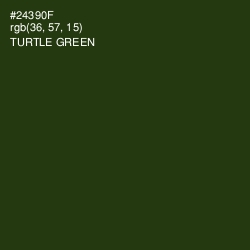 #24390F - Turtle Green Color Image