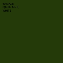 #243A08 - Turtle Green Color Image