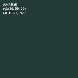 #243B35 - Outer Space Color Image