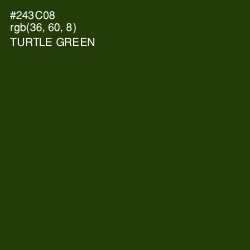 #243C08 - Turtle Green Color Image