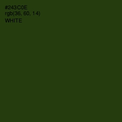 #243C0E - Turtle Green Color Image