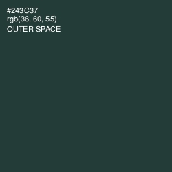 #243C37 - Outer Space Color Image