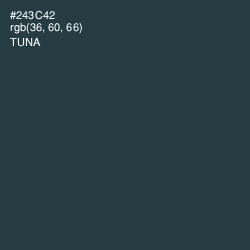 #243C42 - Tuna Color Image
