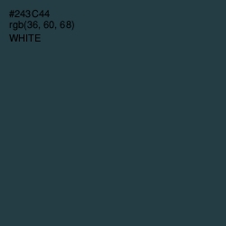 #243C44 - Tuna Color Image