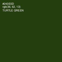 #243E0D - Turtle Green Color Image