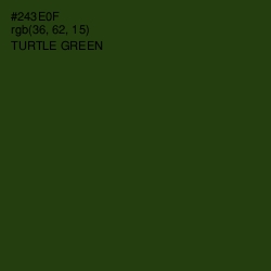 #243E0F - Turtle Green Color Image