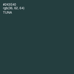 #243E40 - Tuna Color Image