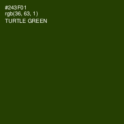 #243F01 - Turtle Green Color Image