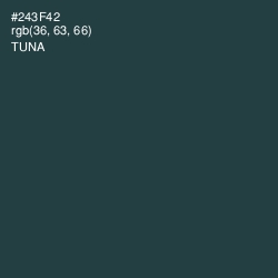 #243F42 - Tuna Color Image