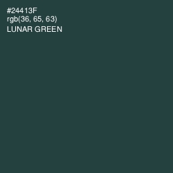 #24413F - Lunar Green Color Image