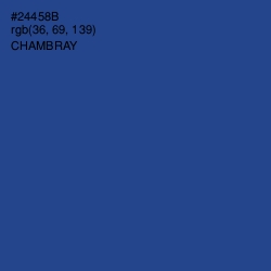 #24458B - Chambray Color Image