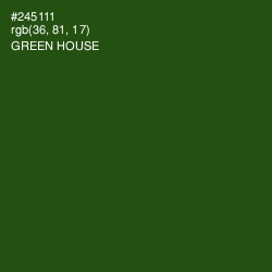 #245111 - Green House Color Image