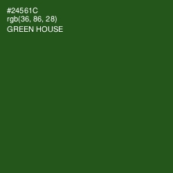 #24561C - Green House Color Image