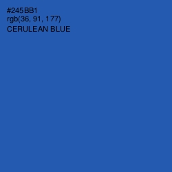 #245BB1 - Cerulean Blue Color Image