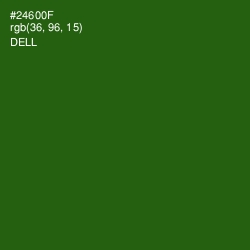 #24600F - Dell Color Image